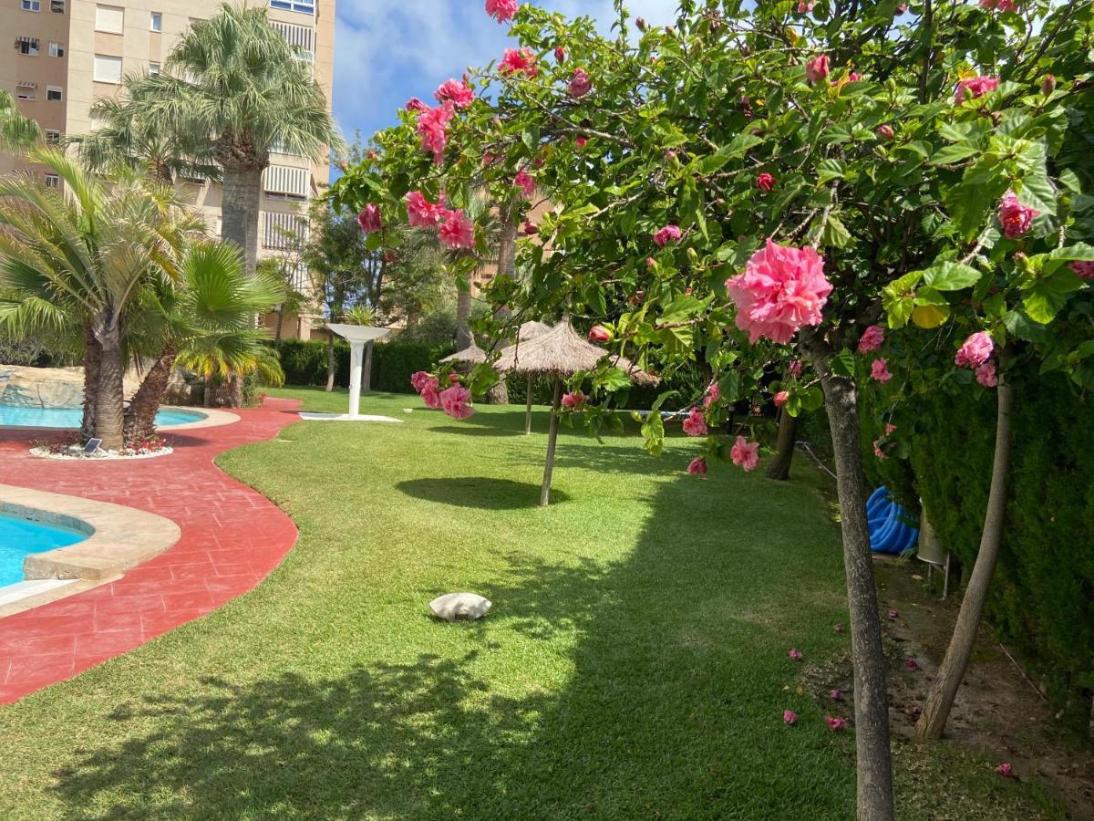 Apartamento Marluma frente al Mar - Playa Muchavista - Playa San Juan La Venteta Exterior foto